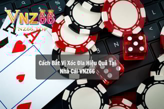 Cách Bắt Vị Xóc Đĩa Hiệu Quả Tại Nhà Cái VNZ66
