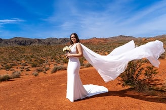 a woman in a white dress with a veil on her wedding day