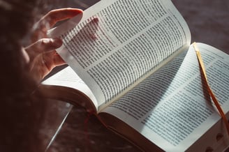 une lectrice tourne les page de son livre