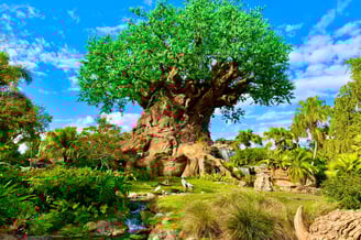 Animal Kingdom