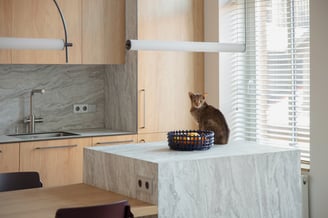 Virtuvės projektas Užupyje