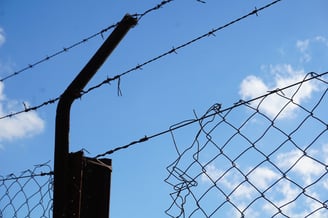 Texture Attack: barbed wire fence