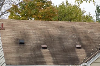 Dirty asphalt roof needing pressure washing services