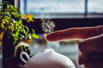 Humidifier next to indoor plants