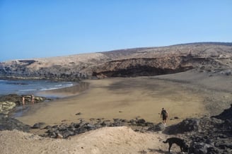 Playa de Los Tres Peos Dog Gran Canaria