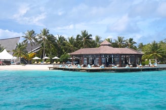ozen reserve bolifushi restaurant