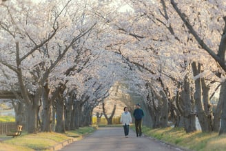 promenade dans un parc