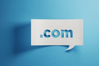 Apa itu Domain pada Website? Berikut Pengertian Domain Jenis Ekstensi dan Fungsinya
