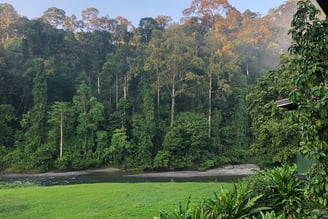A beautiful rainforest view of Danum Valley from Borneo Rainforest Lodge