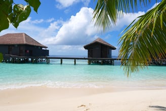 ozen reserve bolifushi spa
