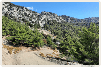 Kato Symi, a forest village in Crete