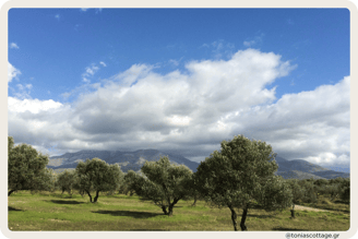 Crete Half Marathon route winding through scenic mountains, offering breathtaking natural views