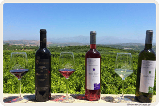 Stilianou Winery in Crete, featuring a selection of wine bottles
