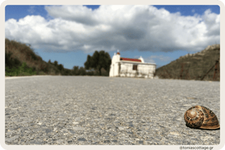 Crete Half Marathon route winding through scenic mountains, offering breathtaking natural views