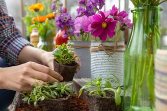 Guia criativo para cultivar flores sem gastar muito. Transforme seu espaço com beleza acessível.