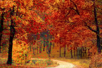 Otoño en Estados Unidos