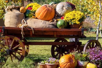 Festival de calabazas en Estados Unidos