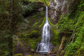 Parque Nacional Olympic, Washington