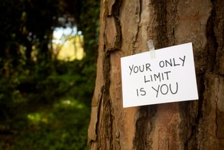 Inspirational quote in nature.