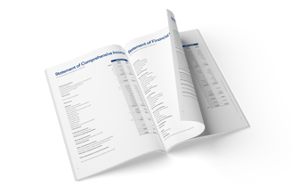 Annual report, typesetting by Michelle Pirovich, Squeezebox