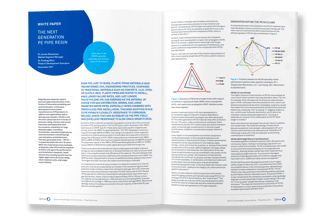 Qenos white papers, typesetting by Michelle Pirovich, Squeezebox
