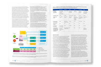 Qenos white papers, typesetting by Michelle Pirovich, Squeezebox
