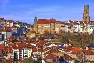 Fribourg insectes du bois 