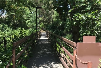 Chico State Campus Bridge 