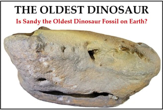 The Oldest Dinosaur Fossil is encased in Ohio Sandstone dating it 100 million years before others.