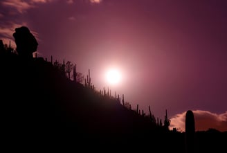 Enigmatic Face Gazing at the Full Moon and the Saguaros. High-quality acrylic prints.