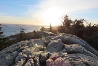 Koli