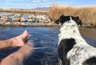 Gigi at Eaglevill Hot Springs
