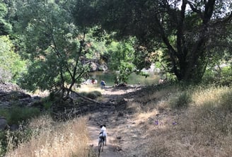 Upper Bidwell Park Trail is Dog Friendly