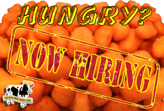 Now Hiring!