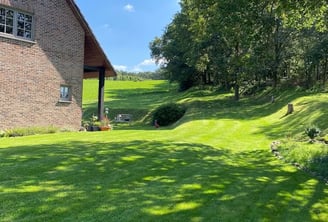 jardin vert avec herbe tondue