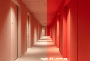 Image d'un couloir bicolore d'appart'hôtel.