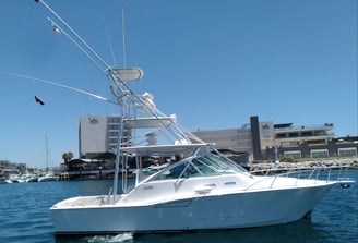 yate cabo express 35 pesca deportiva en renta cabo san lucas