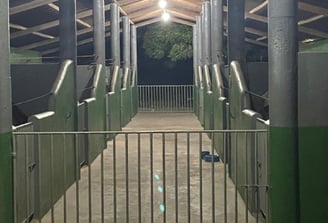 Baias para cavalos em Fortaleza-CE