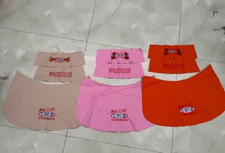 thiet ke cac mau ti mi voi gai thanh hop li