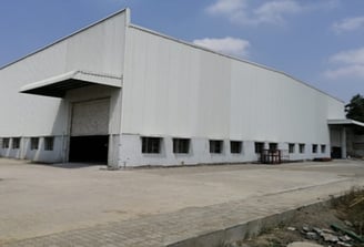 Moonlight Chennai Plant