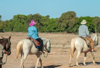 Horseback Ride at Pantanal