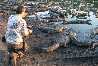 Wildlife at Brazilian Northern Pantanal