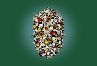 Imagem de coroa de flores A luxo colorida II do grupo maya do serviço funerário de são paulo