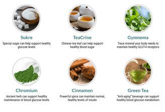 Sukre Teacrine Gymnema Chromium Cinnamon Green Tea