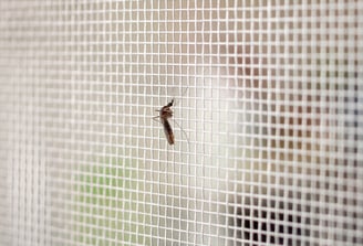 insektenschutz