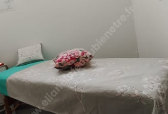 Table de massage et réflexologie