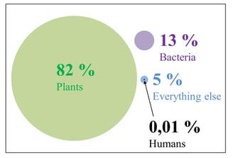 Distribution of the Earth's biomass - Humans represent only 0.01% of all living things