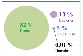 Distribution de la biomasse sur Terre - Les humains ne représentent que 0.01 %