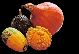 Qi Nourishing Foods