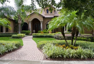 a house with a walkway and palm trees